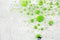 Green bubbles in water, abstract background. The concept of cleanliness