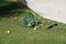 A green bucket on its side with yellow practice golf balls.