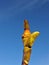 Green budding single stem pointing up at the sky