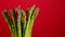 Green bunch asparagus on red background