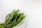 Green bunch of culantro leaves in a white bowl tied with twine, copy space, isolated on white