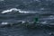 Green buoy in sea water