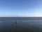 Green buoy at the wadden sea around Borkum