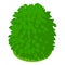 Green bush icon isometric vector. Natural green decorative shaped shrub icon