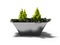 Green bush in metal pot with legs for urban landscaping 3d render on white background with shadow