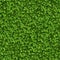 Green Bush. Seamless Texture.
