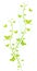 Green butterflies for greeting cards
