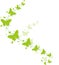 Green butterflies for greeting cards