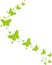 Green butterflies for greeting cards