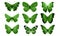 green butterflies isolated on white background. tropical moths. insects for design. watercolor paints