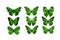 green butterflies isolated on white background. tropical moths. insects for design. watercolor paints