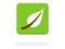 Green Button with leaf icon - Sustainability and organic Food