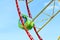 Green cabin of colorful Ferris wheel and blue sky