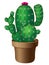 Green cacti in a flower pot with pink flowering. Prickly house plant - flowering cactus.