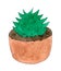 Green cactus in a brown pot. Cartoon succulent illustration