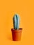 Green cactus in decor pot over bright orange pastel background. Colorful yellow summer trendy creative concept