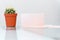 Green cactus with light pink rectangle on white background