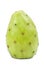 Green Cactus Pear