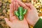 Green cactus toy, handmade bead brooch, lying on women`s palms. The background is blurred.