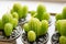 Green cactuses little candles close up photo
