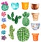 Green cactuses with pink, orange, purple and turquoise flowers and clay pots, hand drawn watercolor illustration