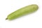 Green Calabash vegetable