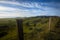 Green California hillside