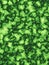 Green camouflage texture