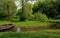 green canal in amsterdam nature trees summer