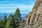 Green Canarian pine tree and Mountains landscape on Gran Canaria island, view on Mount Teide, tenerife, Canary, Spain