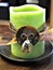 Green candle with brown ribbon, leather cord, button, and wire-wrapped crystal