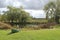 A green canoe pulled up on the shore of a small pond with willow trees and bulrushes on a sunny fall day