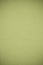 Green canvas background