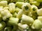 Green Capsicum In Vegetable Market