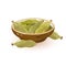 Green cardamom or cardamon pods are in ceramic bowl and near it. Spice.