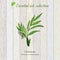 Green cardamon, essential oil label, aromatic plant