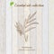 Green cardamon, essential oil label, aromatic plant