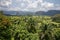 Green caribbean valley with small cuban houses and mogotes hills landscape panorama, Vinales, Pinar Del Rio, Cuba