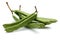 Green carob pods on white background