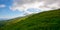 Green carpathian landscape in summer