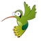 Green cartoon hummingbird