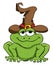 Green cartoon toad with witch hat isolated on white