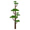 Green cartoon tree. Deciduous tree. Isolated object for design.