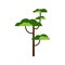 Green cartoon tree. Deciduous tree. Isolated object for design.