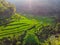 Green cascade rice field plantation at Bali, Indonesia