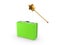 Green case and magic wand.