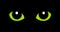 Green cat eyes in the darkness