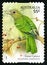 Green Catbird Australian Postage Stamp