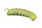 Green caterpillar Privet hawk moth Sphinx ligustri or moth butterfly Sphingidae on white