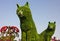 Green cats in The Miracle garden in Dubai